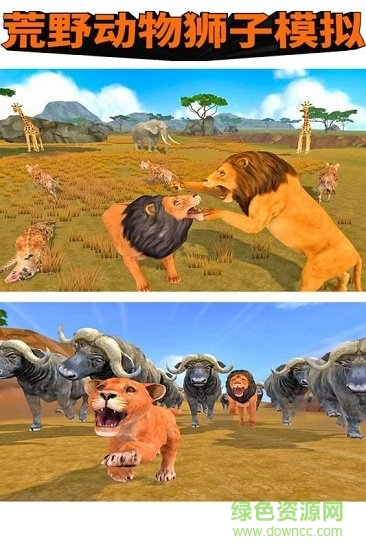 荒野动物狮子模拟 荒野动物狮子模拟游戏下载