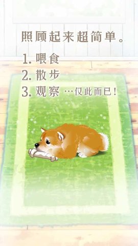 养育柴犬的治愈游戏 v1.1.0 安卓版0