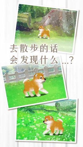 养育柴犬的治愈游戏 v1.1.0 安卓版4