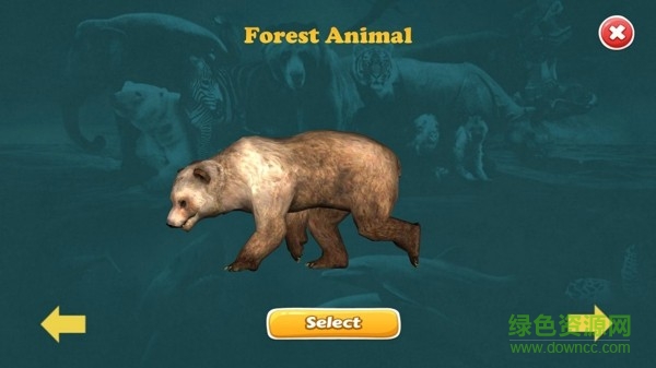 3D动物世界 v1.0 安卓版1