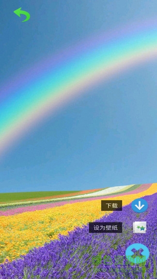 视频主题壁纸手机版 v6.1.22 安卓版2