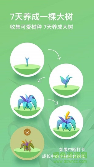 打卡森林 v2.0.0 安卓版1