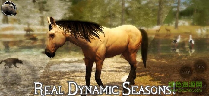 终极野马模拟器2追风汉化版 v1.0 安卓版1