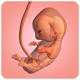 9个月游戏中文版下载