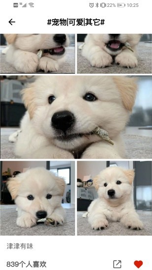 双马尾duang app v1.0.0 安卓版0