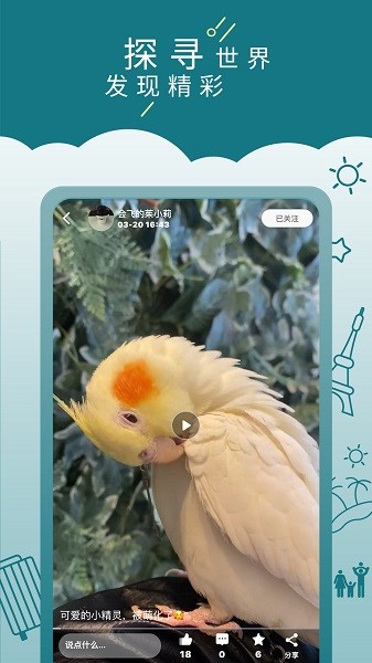 走来走趣 v1.0.74 安卓版1