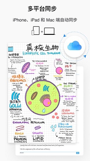goodnotes5 ios版 v6.2.10 iphone手机版2