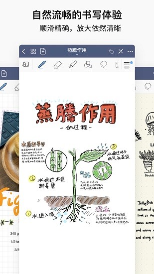 goodnotes5 ios版 v6.2.10 iphone手机版3