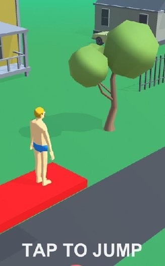 完美的跳水游戏(the perfect dive) v0.1 安卓版1