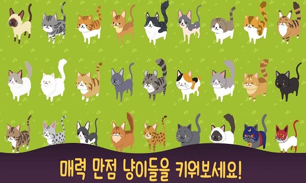 喵喵餐厅的奇迹(Neko Cafe) v1.0.9 安卓版0