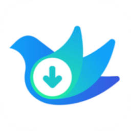 云雀idm网页视频下载器免费版