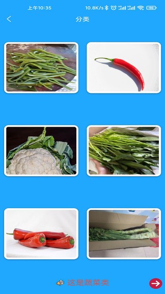 小星宝认知卡片 v1.1.9 安卓版2