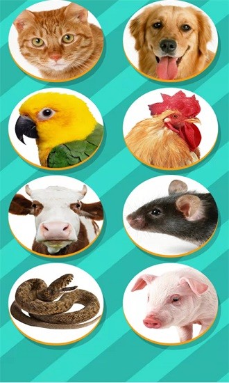 动物交流模拟器中文版 v1.3 安卓版2