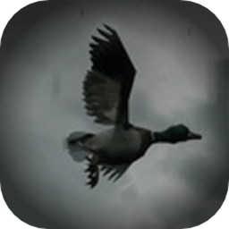 打鸭子vr恐怖游戏LegendaryHunterVR(6DoF版)