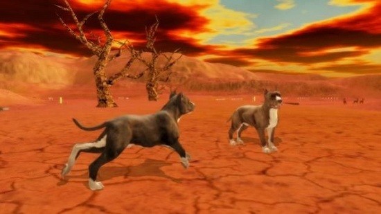 比特犬模拟器游戏(Pitbull Dog Simulator) v1.0.4 安卓版1