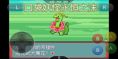 口袋妖怪永恒之沫