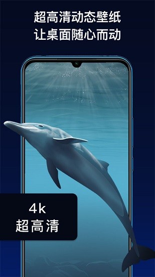 动态主题手机软件 v1.0.1 安卓版1