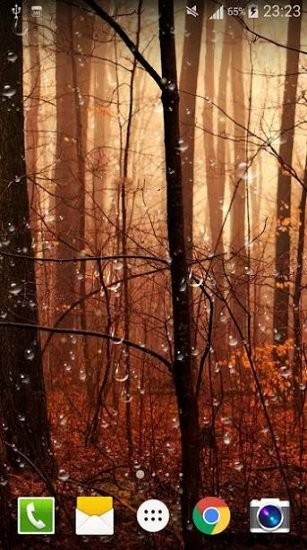 萤火虫雨滴动态壁纸软件 v1.0.5 安卓版0