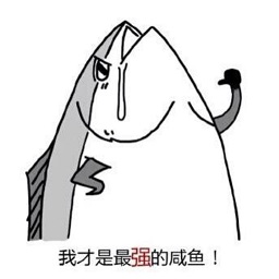 我的世界咸鱼空岛整合包