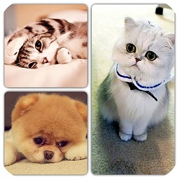 照片拼图p图软件