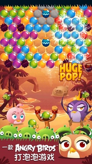 愤怒的小鸟思黛拉泡泡最新版 v3.110.0 安卓版1