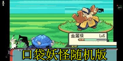 口袋妖怪随机版