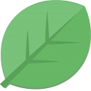 雀大师播放器pc版