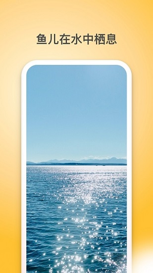 夏橙光遇官方版 v1.1.3 安卓版0