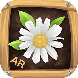 ar拾花游戏