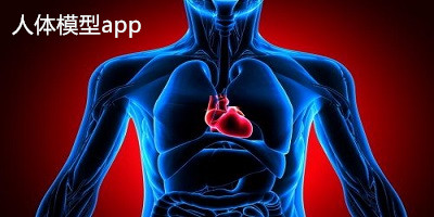 人体模型app