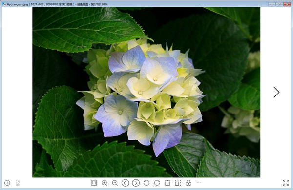鲨鱼看图官方 v1.0.0.70 最新版1