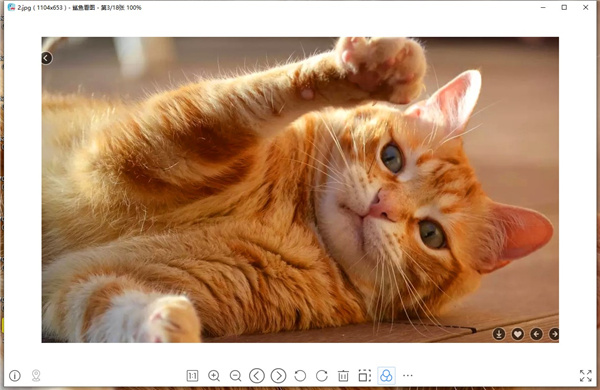 鲨鱼看图官方 v1.0.0.70 最新版2