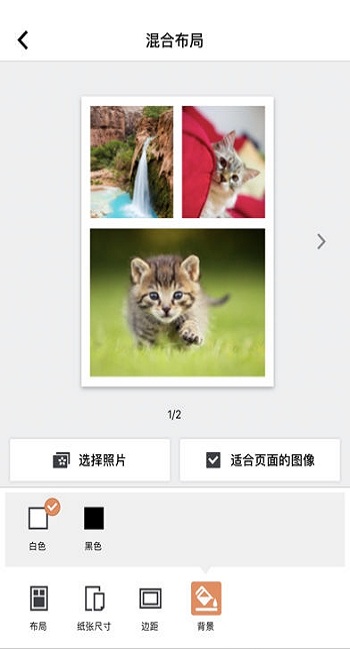 selphy photo layout证件照 v2.1.0 安卓版2