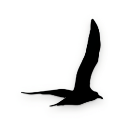 深度背单词软件