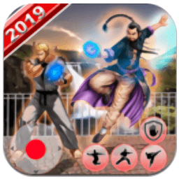 功夫极端格斗游戏