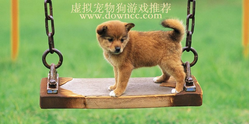 虚拟宠物狗游戏