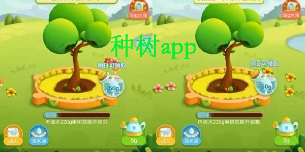 种树app