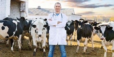 兽医题库哪个软件好-执业兽医资格考试题库app-2023官方兽医考试题库