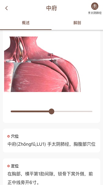 经络穴位3D最新版 v2.0.0 安卓版0
