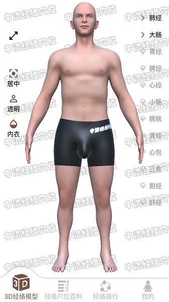 经络穴位3D最新版 v2.0.0 安卓版3