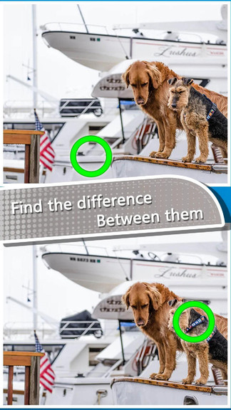 大脑差异拼图最新版 v0.2 安卓版3