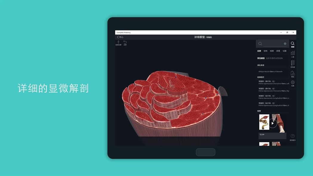 completeanatomy 2021中文版 v7.0.0 官方电脑版1