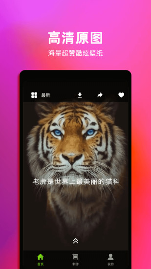 4k动态壁纸手机壁纸 v1.6 安卓版3
