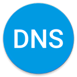 dns转换器汉化版