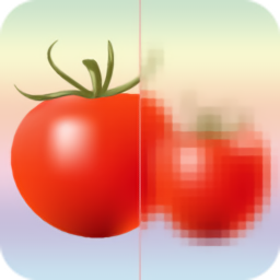 马赛克打码官方版