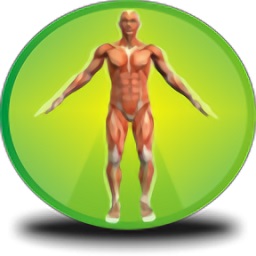 bodecoder体格大师app软件