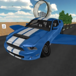 飞行汽车驾驶2021