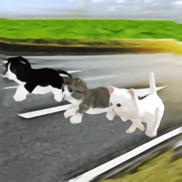 小猫对决最新版