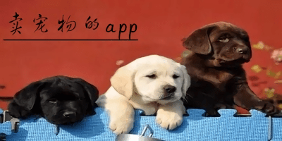 卖宠物软件有哪些?卖宠物的平台-宠物交易app