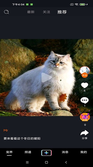 宠艾 v1.5.0 安卓版1